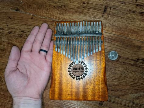 instrument metal pluck box|musical instruments that fit your pocket.